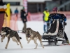 Int. Hundeschlittenrennen in Hintersee am 10.02.2023  
Foto und Copyright: Moser Albert, Fotograf, 5201 Seekirchen, Weinbergstiege 1, Tel.: 0043-676-7550526 mailto:albert.moser@sbg.at  www.moser.zenfolio.com