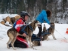 Int. Hundeschlittenrennen in Hintersee am 11.02.2023  
Foto und Copyright: Moser Albert, Fotograf, 5201 Seekirchen, Weinbergstiege 1, Tel.: 0043-676-7550526 mailto:albert.moser@sbg.at  www.moser.zenfolio.com