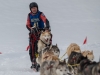 Int. Hundeschlittenrennen in Hintersee am 11.02.2023  
Foto und Copyright: Moser Albert, Fotograf, 5201 Seekirchen, Weinbergstiege 1, Tel.: 0043-676-7550526 mailto:albert.moser@sbg.at  www.moser.zenfolio.com