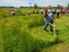 BezirksMÃ¤hen 2013 der Flachgauer Landjugend in Anthering beim Kernei's Mostheuriger am 09.05.2013  
Foto und Copyright: Moser Albert, Fotograf und Pressefotograf, 5201 Seekirchen, Weinbergstiege 1, Tel.: 0676-7550526 mailto:albert.moser@sbg.at  www.moser.zenfolio.com