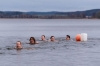 7. Silvesterschwimmen im Strandbad in Seeham am 31.12.2017; 41 Teilnehmer, 7 Damen und 31 MÃ¤nner und 3 Kinder  
Foto und Copyright: Moser Albert, Fotograf, 5201 Seekirchen, Weinbergstiege 1, Tel.: 0043-676-7550526 mailto:albert.moser@sbg.at  www.moser.zenfolio.com