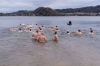 7. Silvesterschwimmen im Strandbad in Seeham am 31.12.2017; 41 Teilnehmer, 7 Damen und 31 MÃ¤nner und 3 Kinder  
Foto und Copyright: Moser Albert, Fotograf, 5201 Seekirchen, Weinbergstiege 1, Tel.: 0043-676-7550526 mailto:albert.moser@sbg.at  www.moser.zenfolio.com